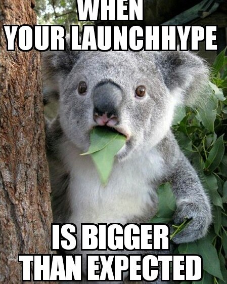 memes about launchhype and startups