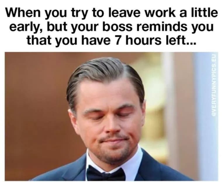 leo dicaprio meme about hating work and mondays